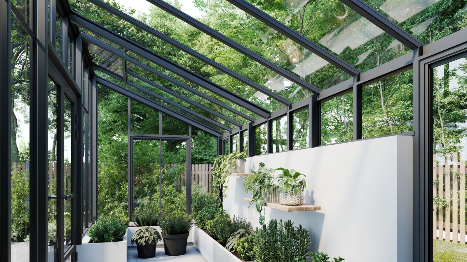 Glass gardens bespoke 14 Interior modern de oranjerie, cu ramă neagră și plante pe rafturi